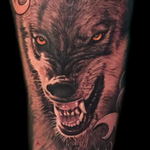 Tattoos - Black and Grey Realism Wolf - 111816